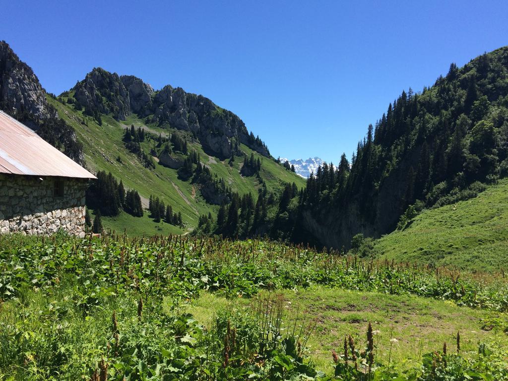 Les Balcons Du Leman Bed & Breakfast Thollon-les-Memises Luaran gambar