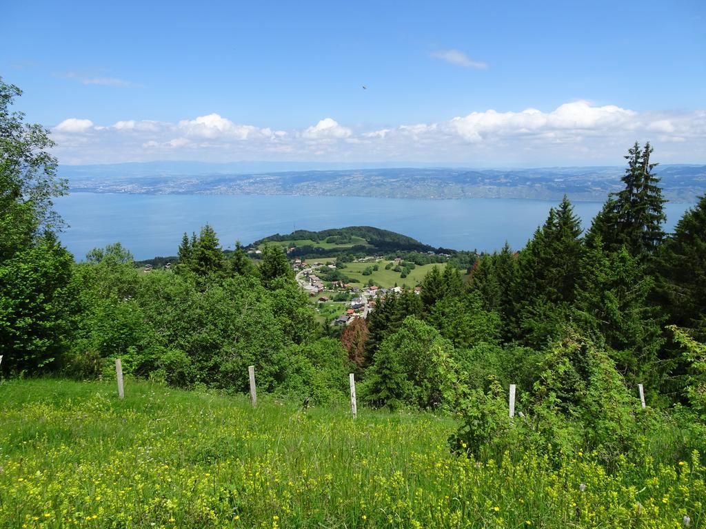 Les Balcons Du Leman Bed & Breakfast Thollon-les-Memises Luaran gambar