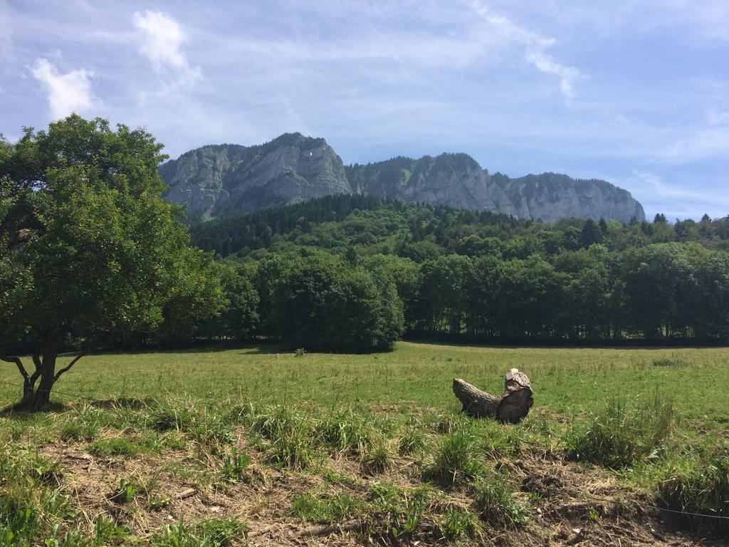 Les Balcons Du Leman Bed & Breakfast Thollon-les-Memises Luaran gambar