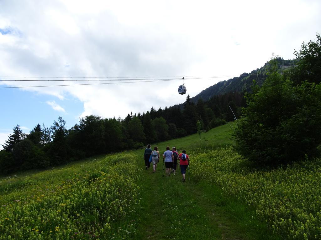 Les Balcons Du Leman Bed & Breakfast Thollon-les-Memises Luaran gambar